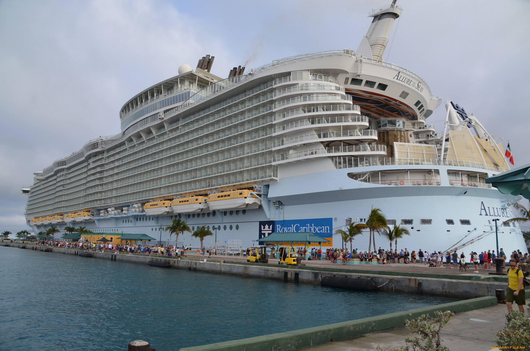 allure of the seas, , , , 